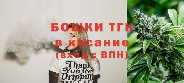 МДПВ Медногорск