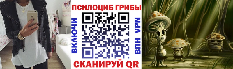 Купить  Коркино  Псилоцибиновые грибы ЛСД 